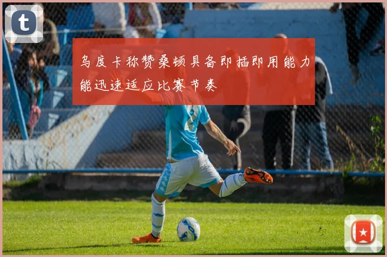 乌度卡称赞桑顿具备即插即用能力能迅速适应比赛节奏